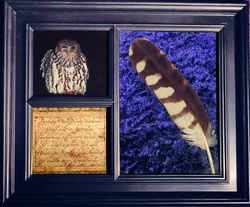 Feather Frame