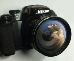 Full Flight Photography Day