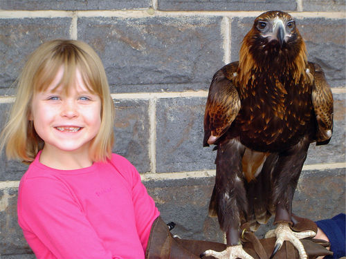 Holding an eagle