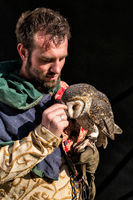 A masked owl and her handler