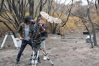 Filming with a barn owl for a documentary