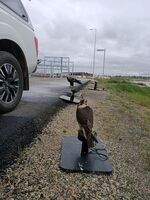 Full Flight at Pakenham Rail